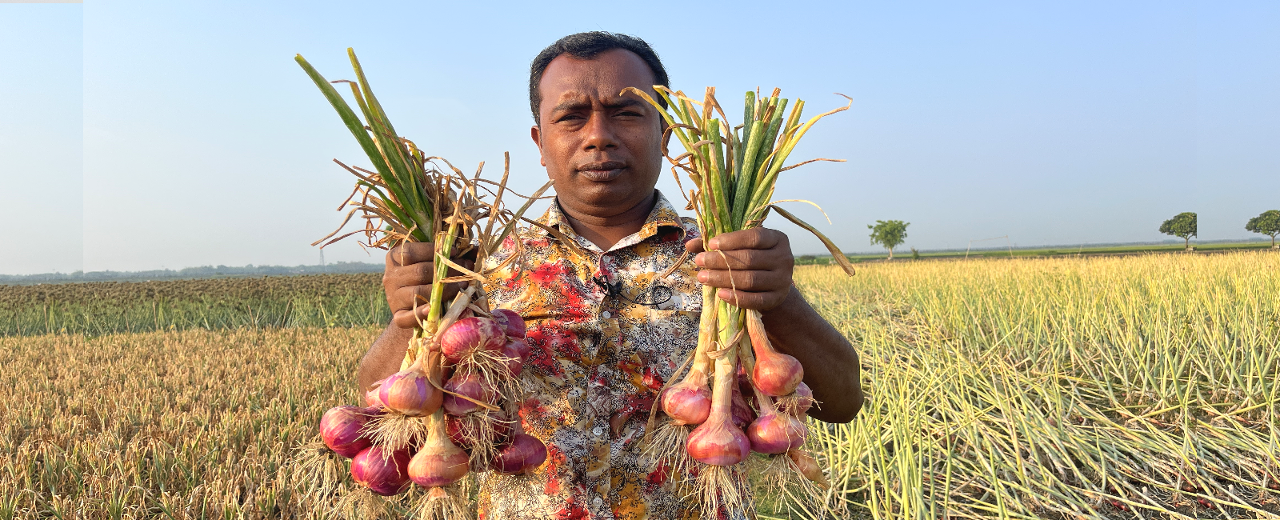 বোল্ডার 