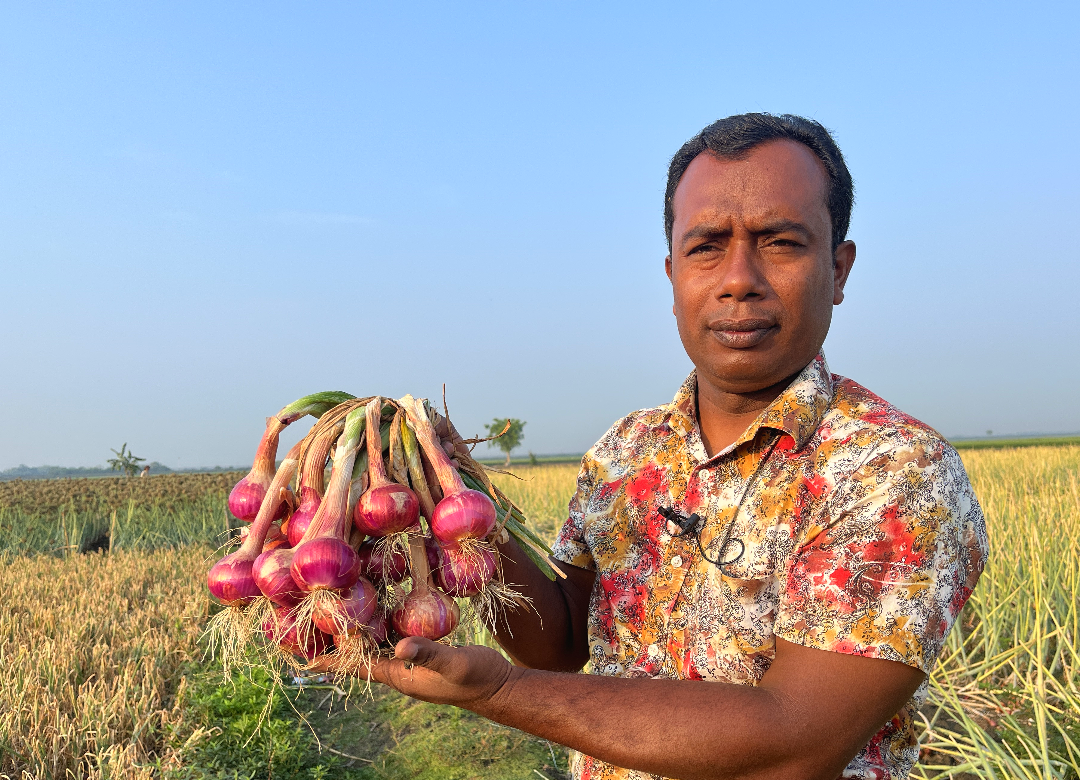 বোল্ডার 
