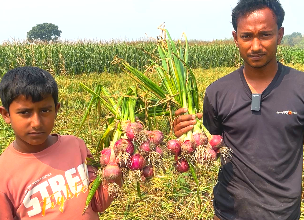 মোঃ রাসেল উদ্দিন 