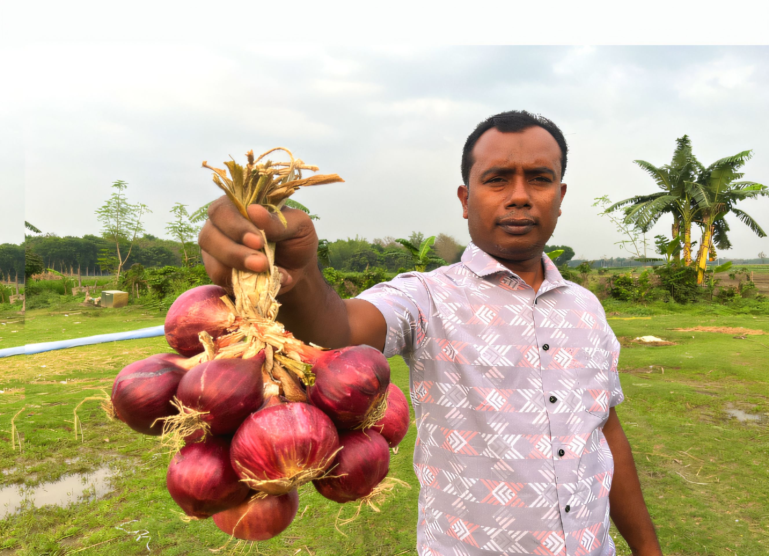 মোঃ শফিকুল ইসলাম