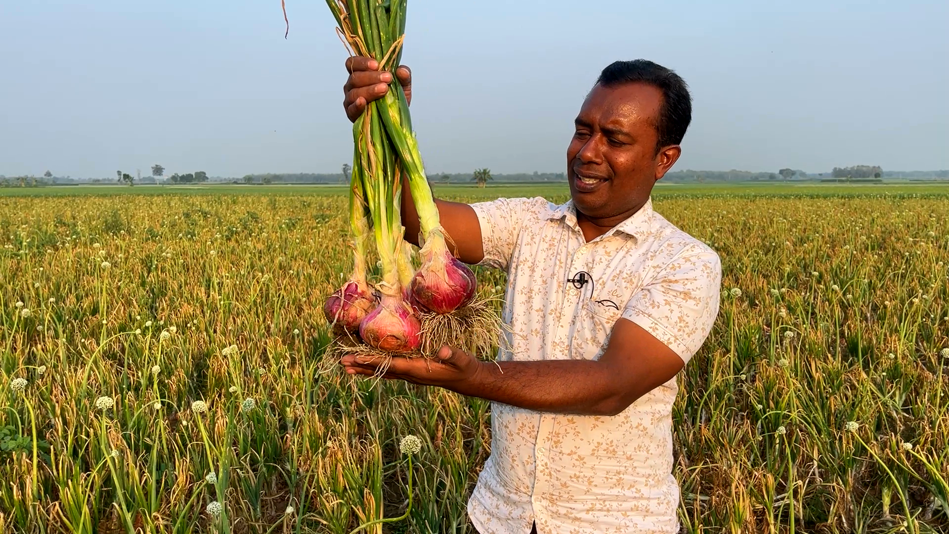 মাস্টার নাসিক পেঁয়াজ চাষ পদ্ধতি