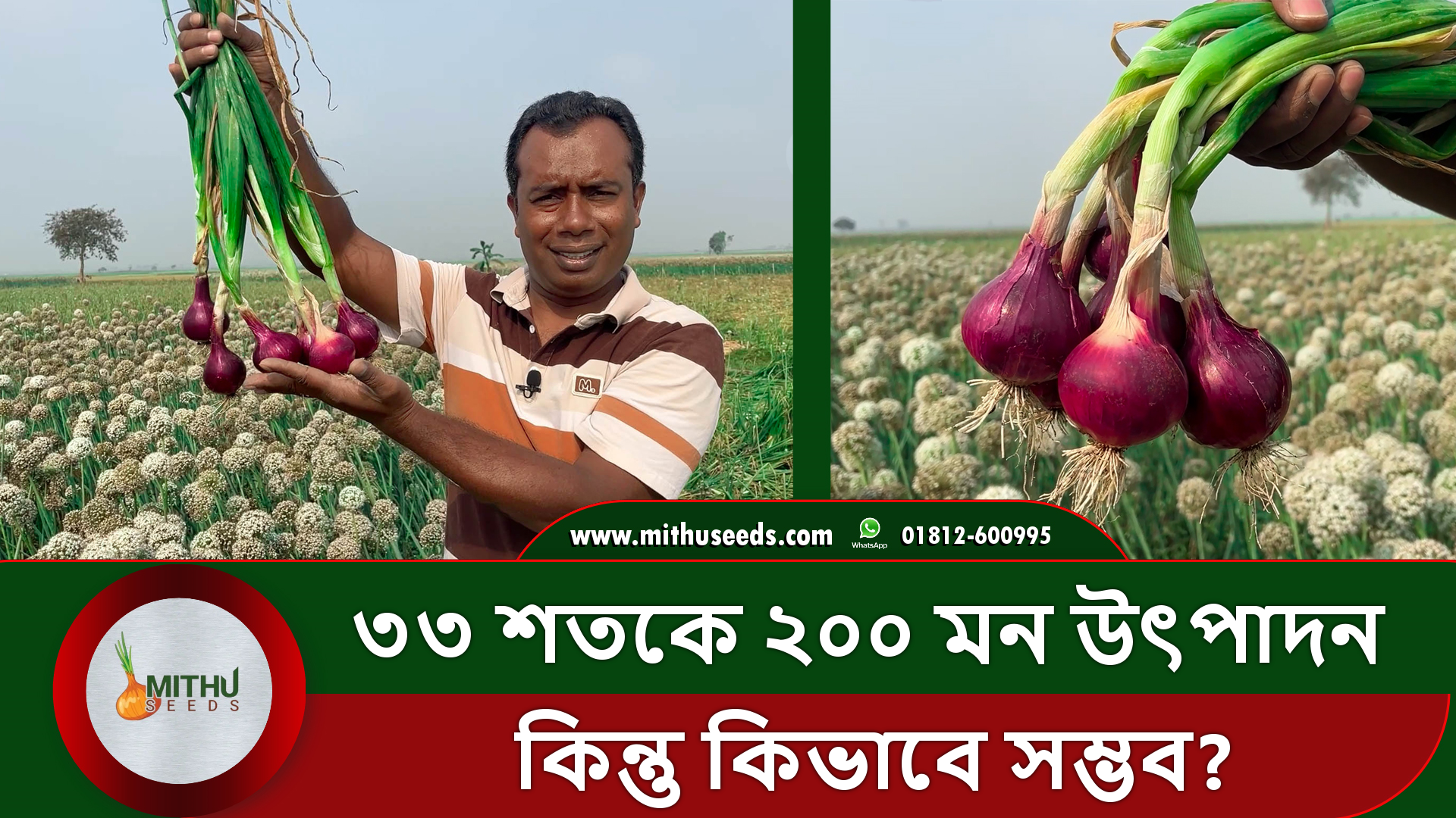 ৩৩ শতকে বা ১ বিঘায় ২০০ মন ফলন
